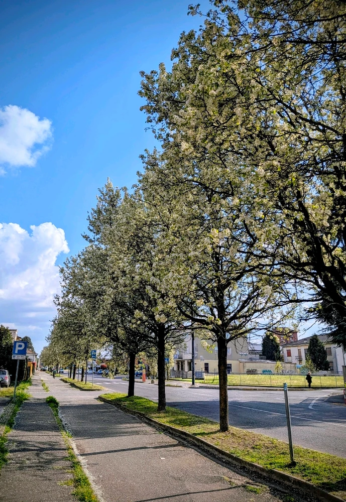 GIF caricata da Alessandro