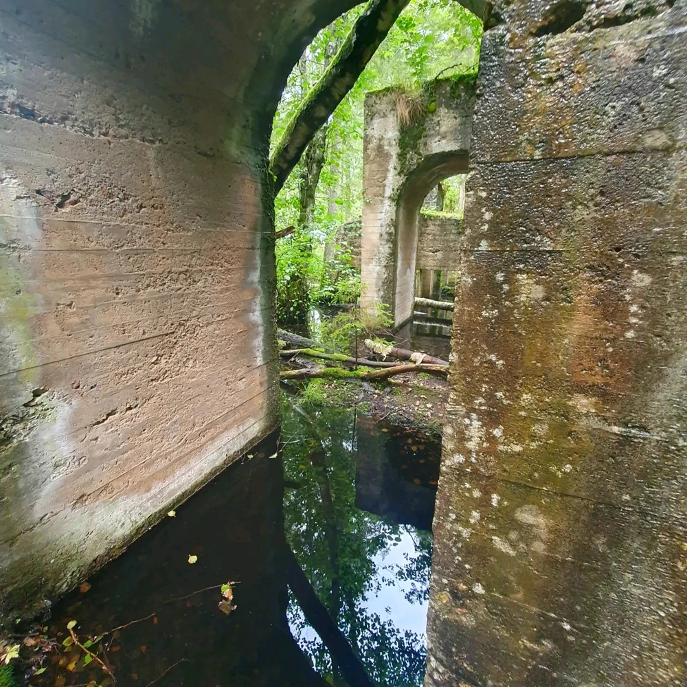 Bild uppladdad av Malin