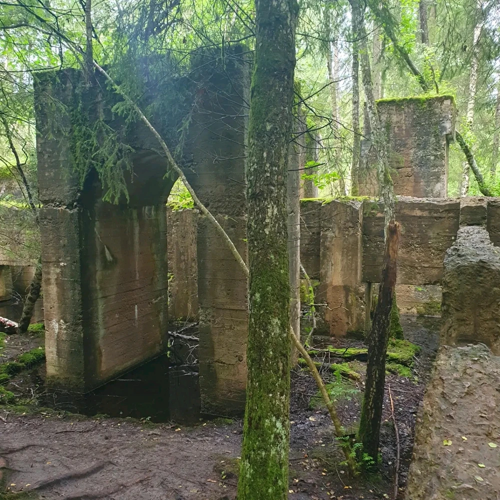 Bild uppladdad av Malin