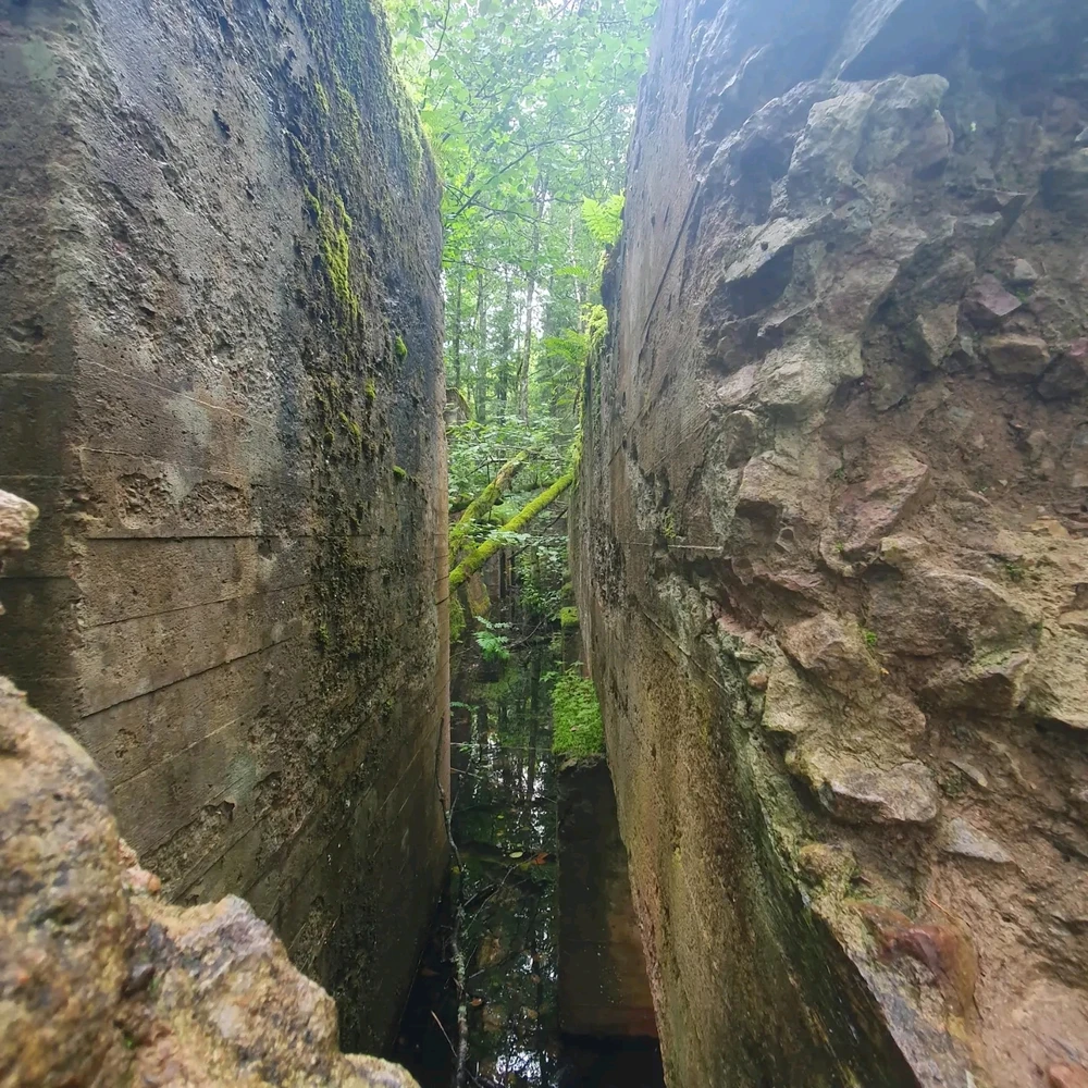 Bild uppladdad av Malin