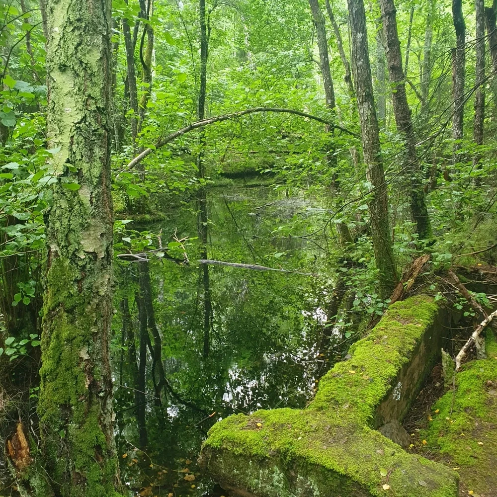 Bild uppladdad av Malin