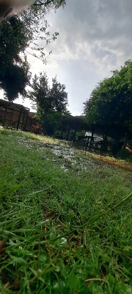 Imagen subida por Lucas