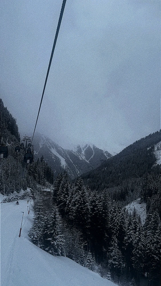 GIF încărcat de Alen
