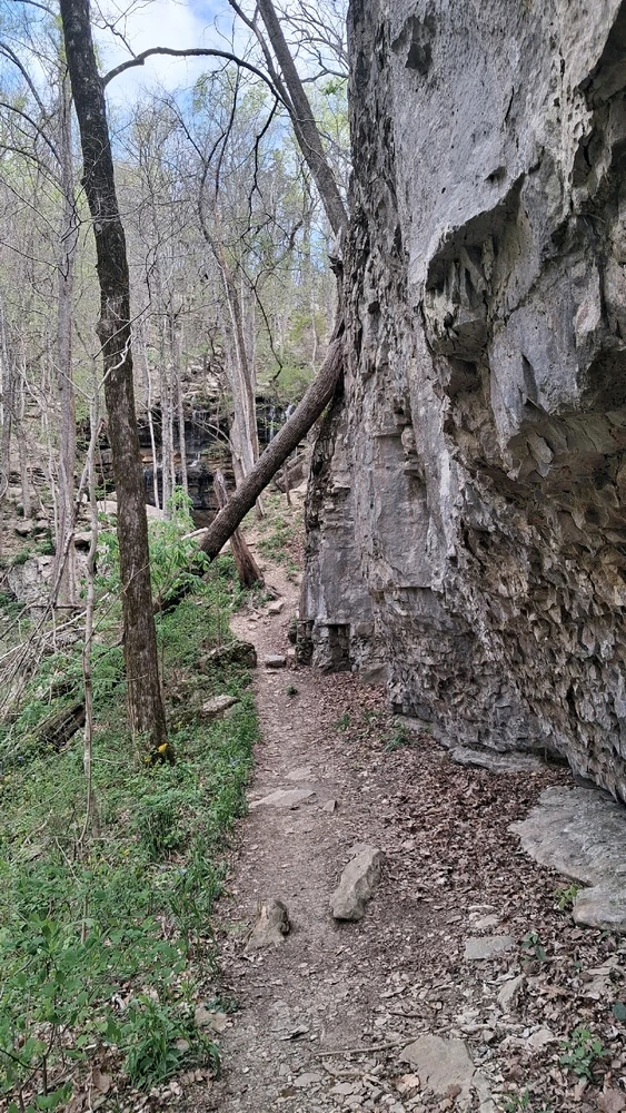 Image uploaded by Falin