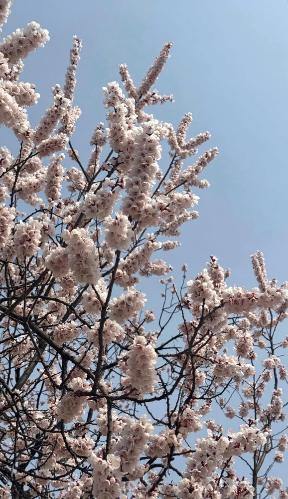 GIF uploaded by cy