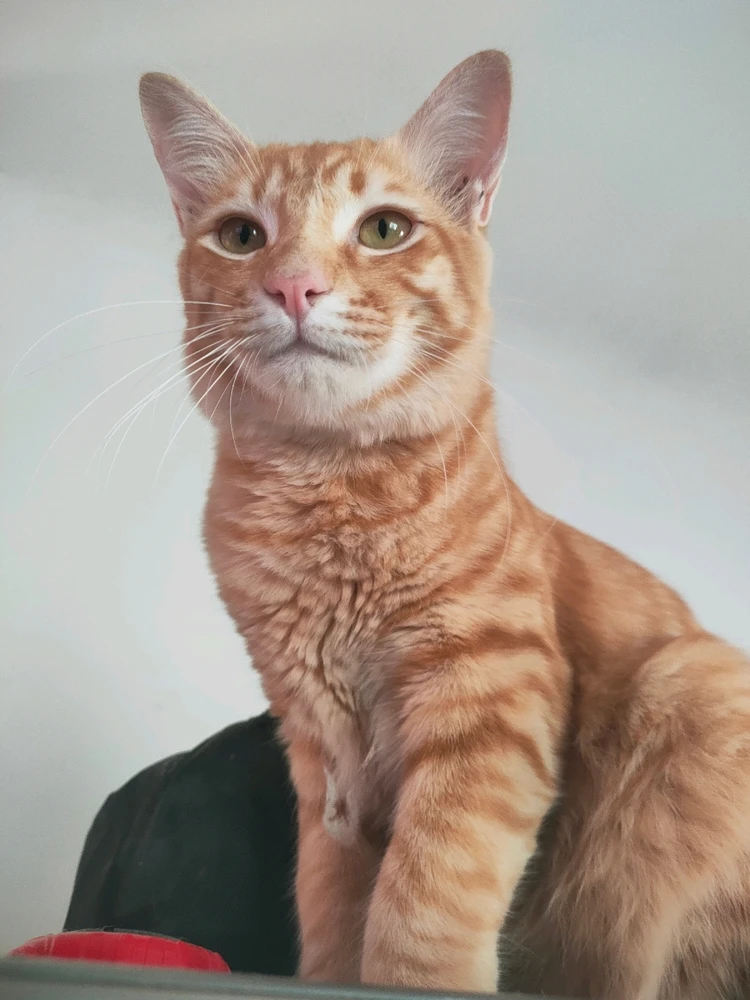 GIF uploaded by Jellyfish