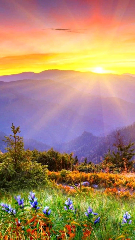 Image uploaded by Sparsh Sonawane