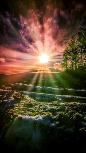 Image uploaded by Sparsh Sonawane