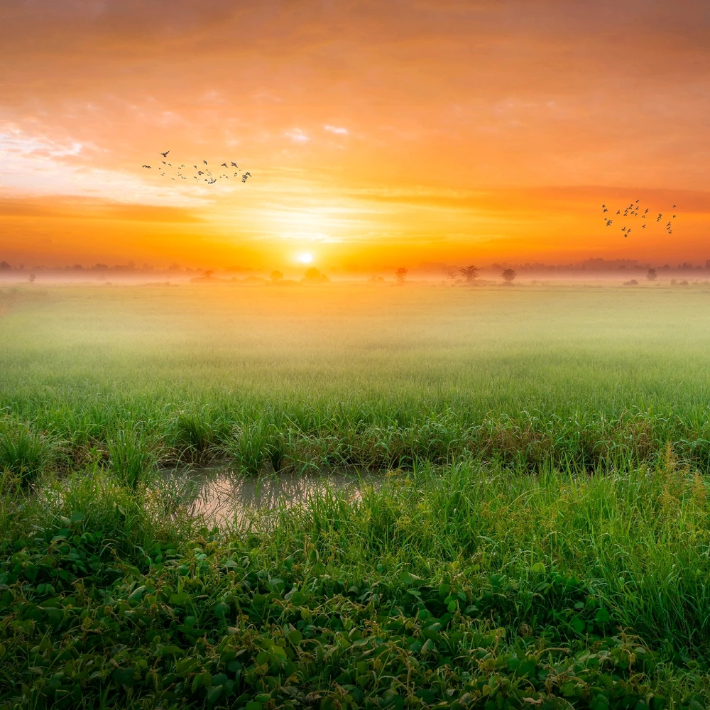 GIF uploaded by Sparsh Sonawane