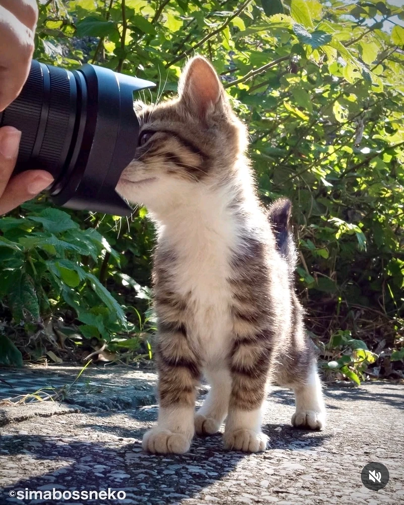 GIF uploaded by Svetlana