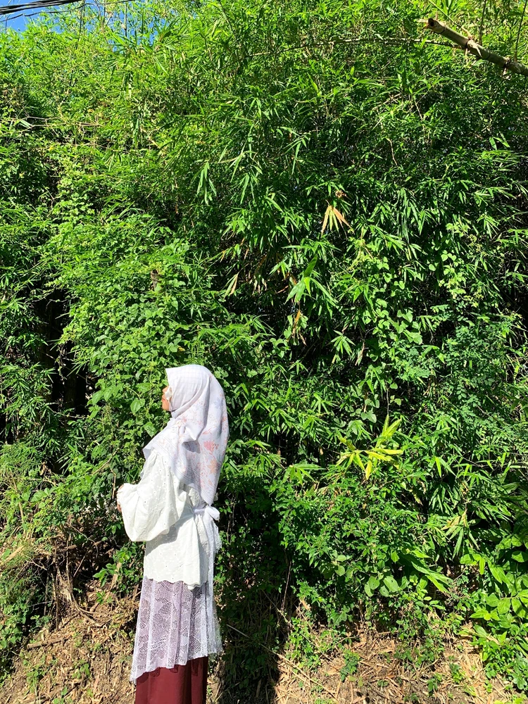 Gambar diunggah oleh vierr