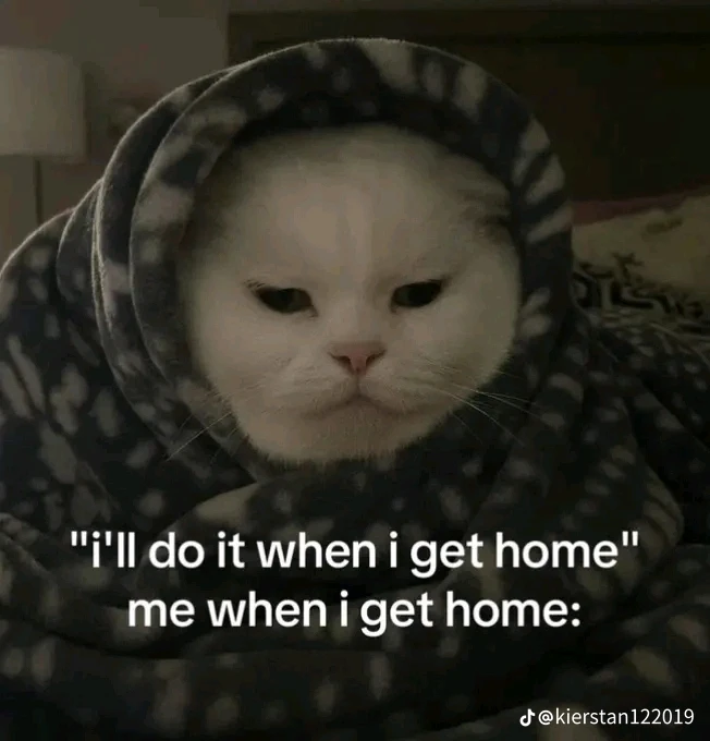 Image ajoutée par Dylan