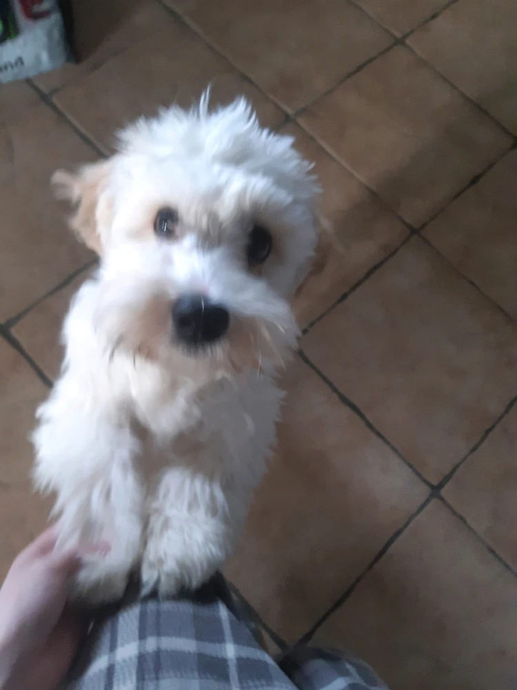 Image uploaded by Ran