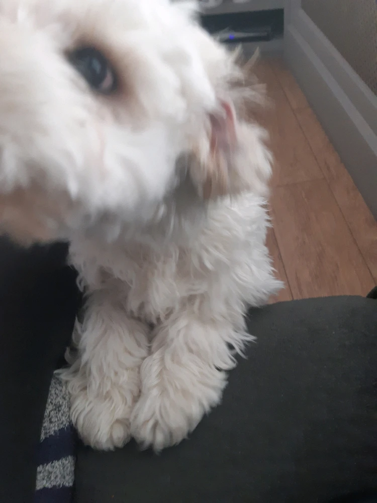 Image uploaded by Ran