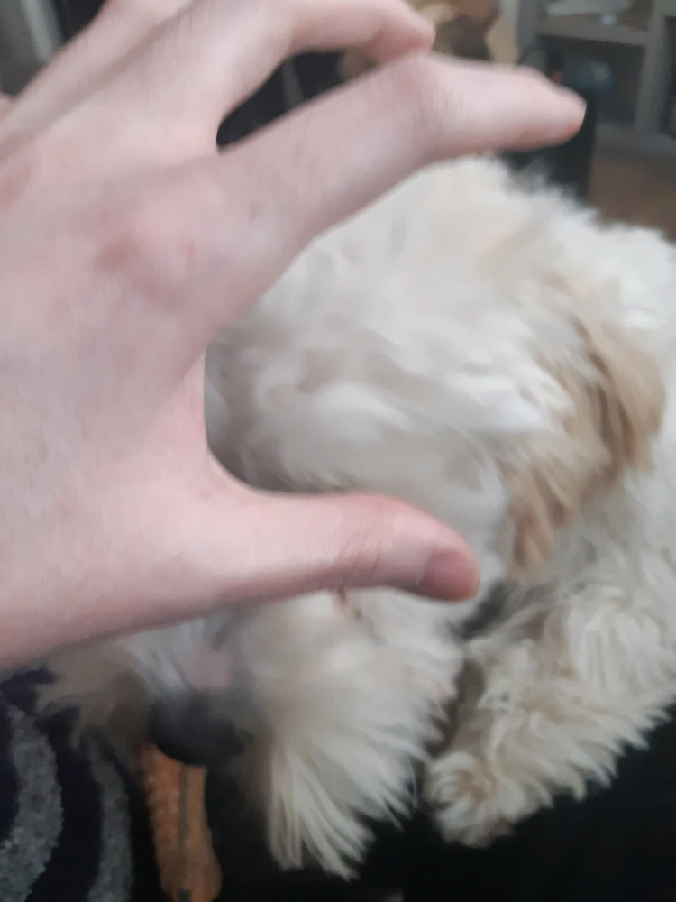 Image uploaded by Ran