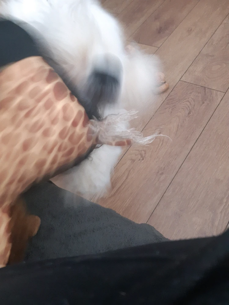 Image uploaded by Ran