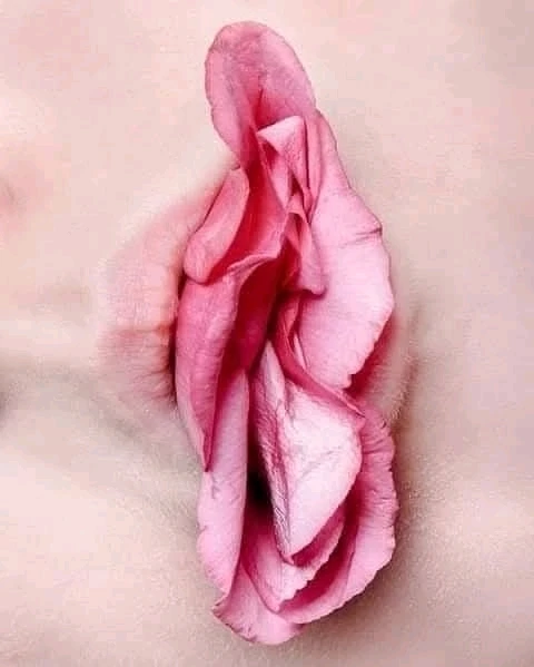 GIF ajouté par Mickaël