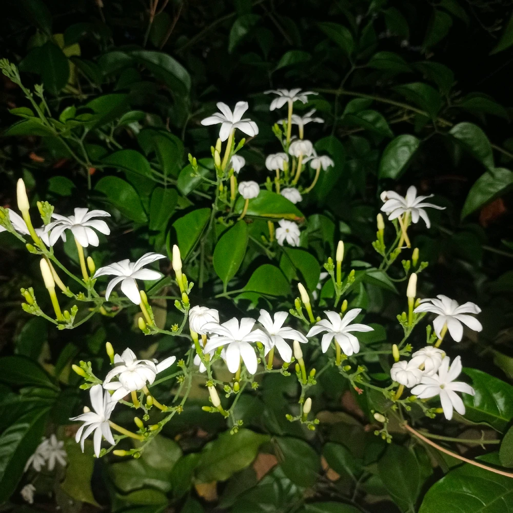 GIF uploaded by Bharath
