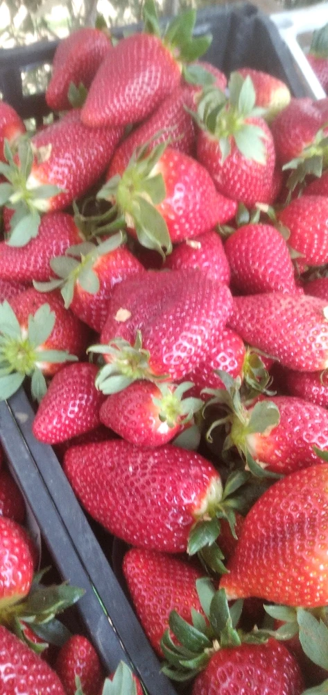 GIF uploaded by Sam 93