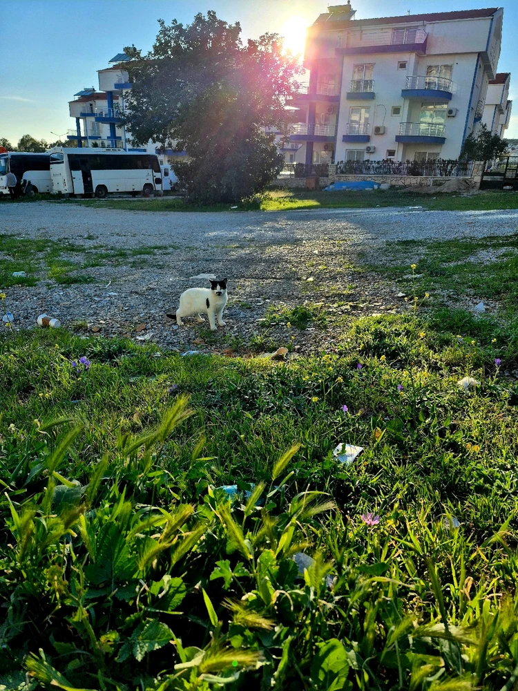 Bild hochgeladen von Hagalaz