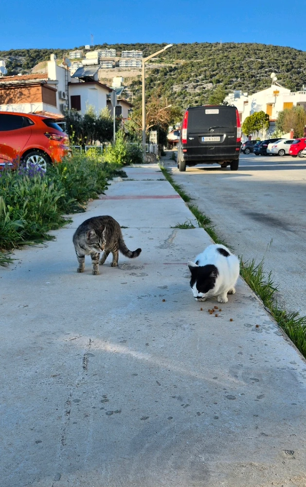 Bild hochgeladen von Hagalaz