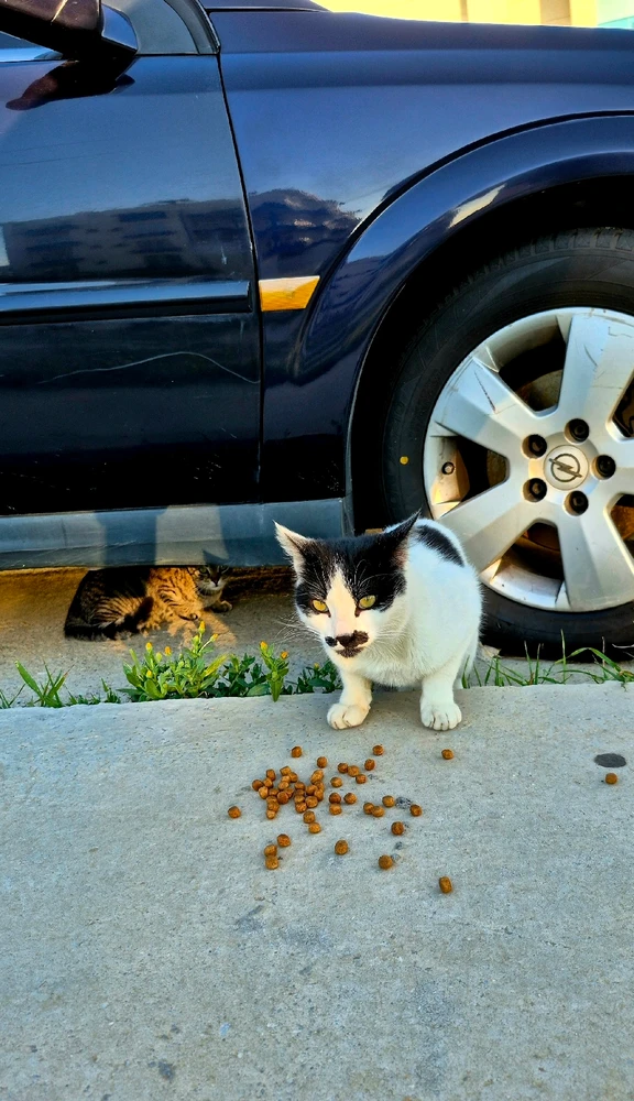 Bild hochgeladen von Hagalaz