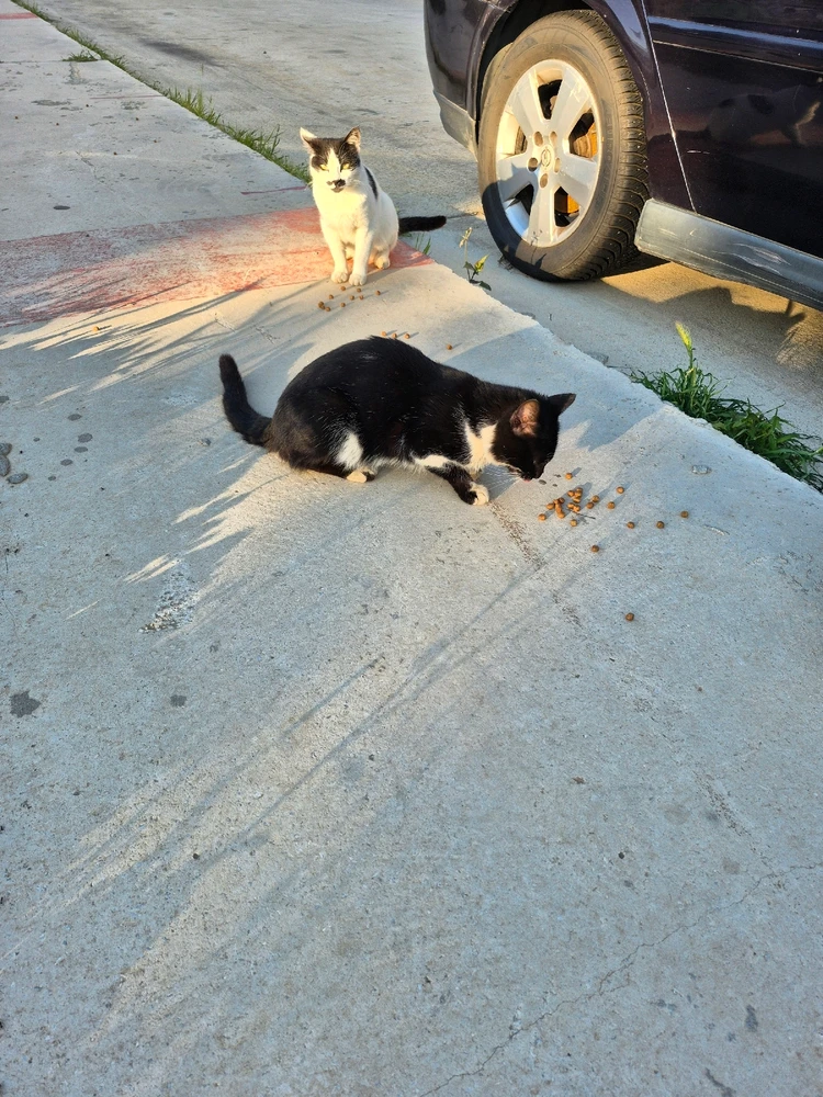 Bild hochgeladen von Hagalaz