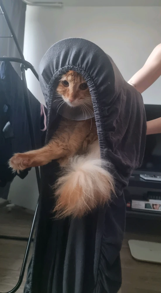 GIF загрузил Ren