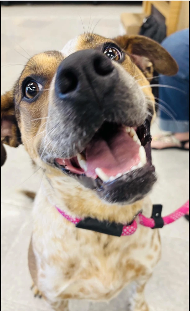 GIF uploaded by Kendra