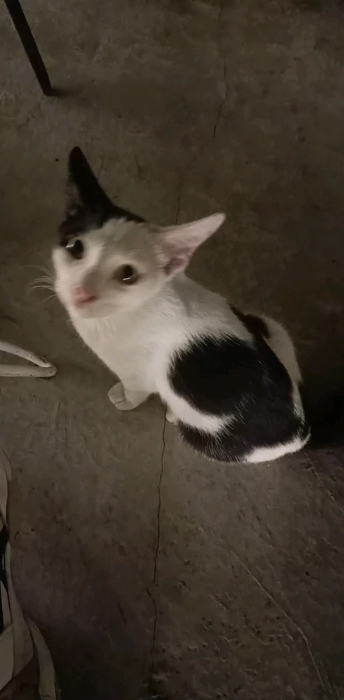 GIF diunggah oleh vviee