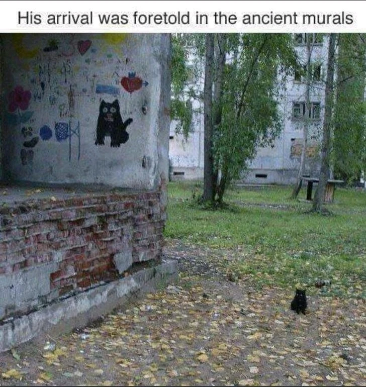 GIF uploaded by James