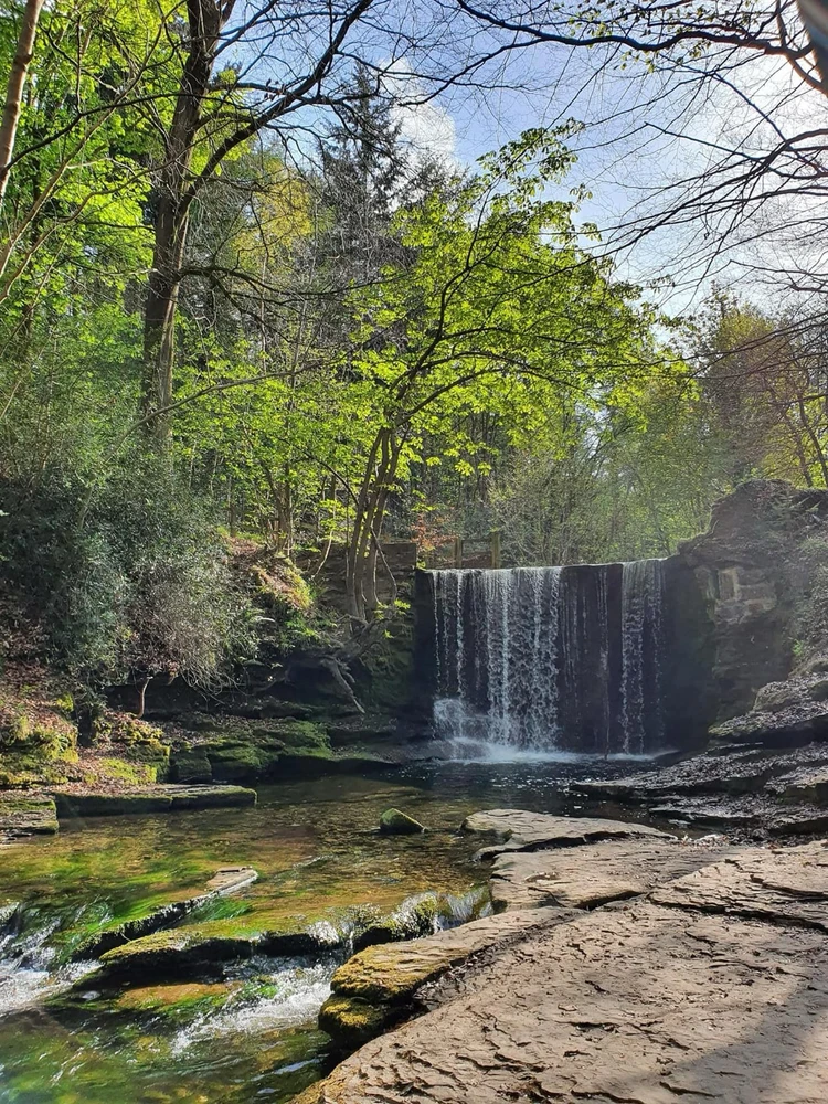 GIF uploaded by Simon