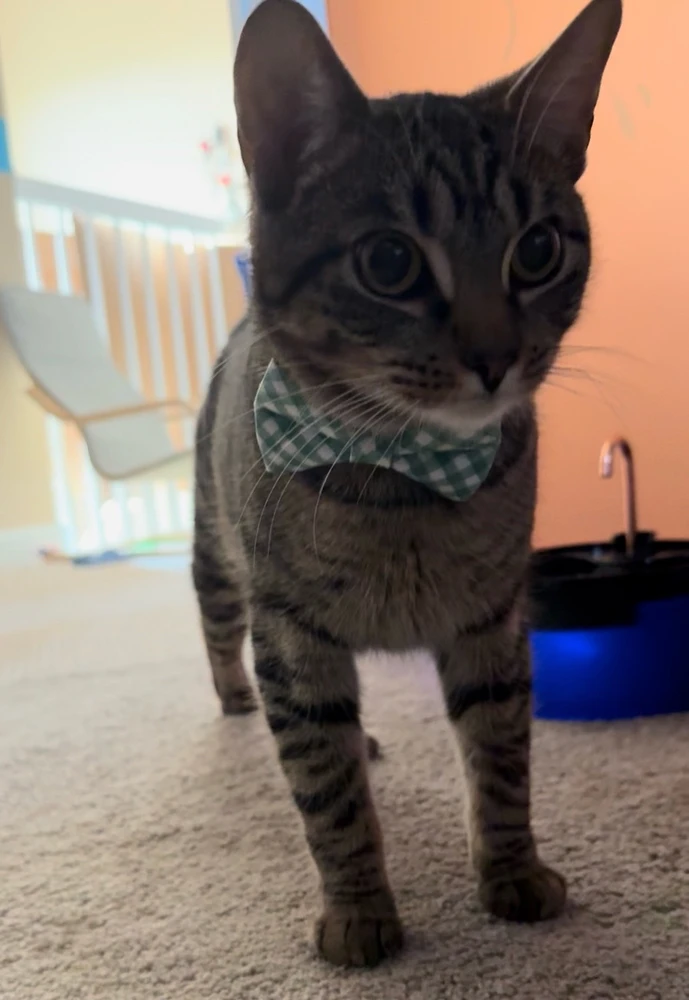 GIF uploaded by J is for Jaxy