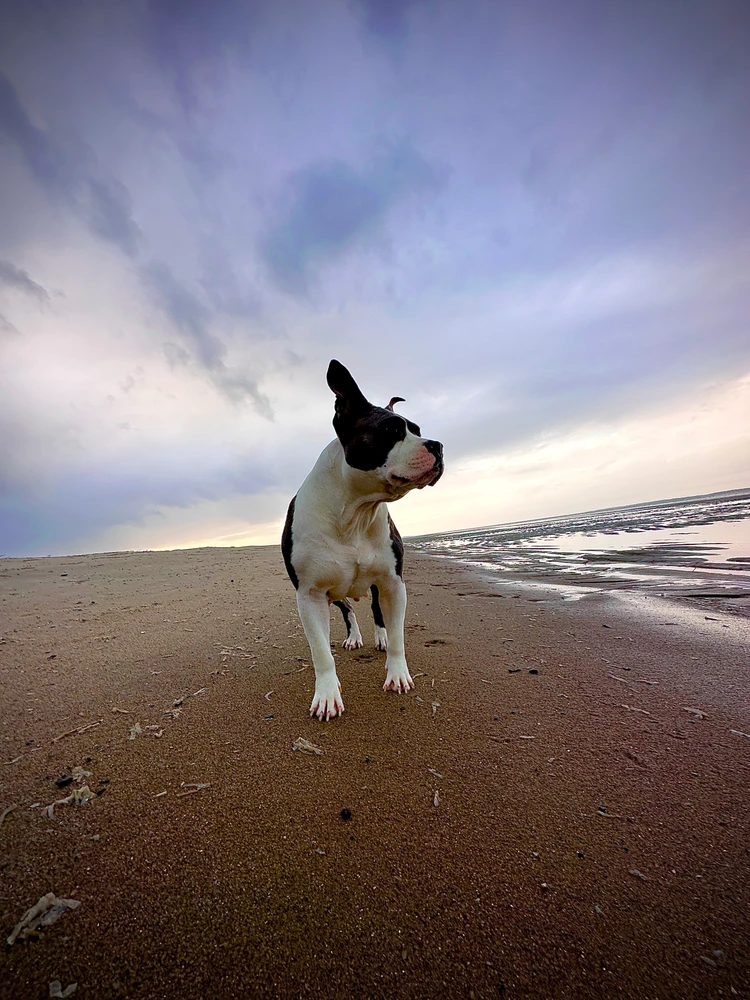 Image uploaded by Chip