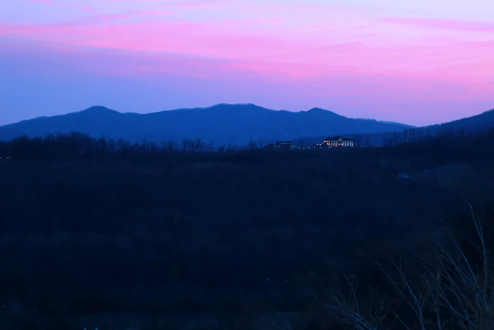 GIF uploaded by Mochi