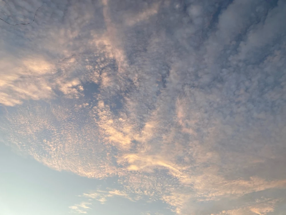 Image uploaded by Tara