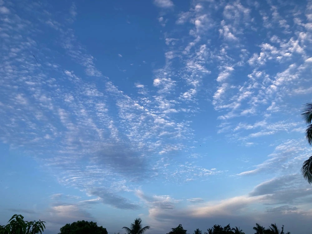 Image uploaded by Tara