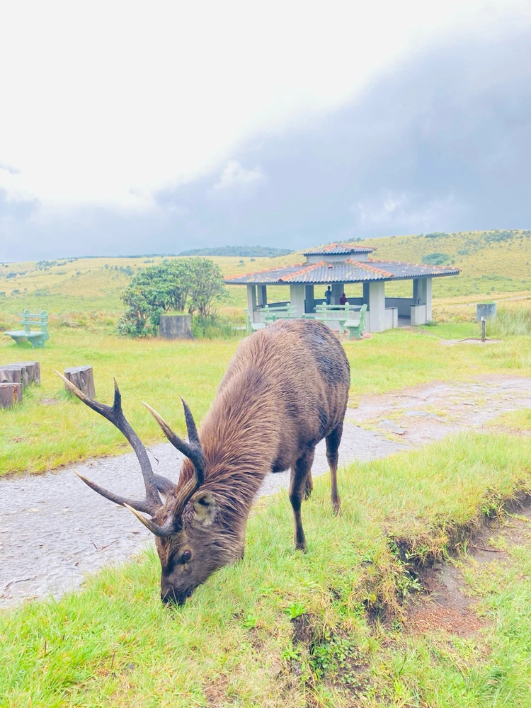 Image uploaded by Tara