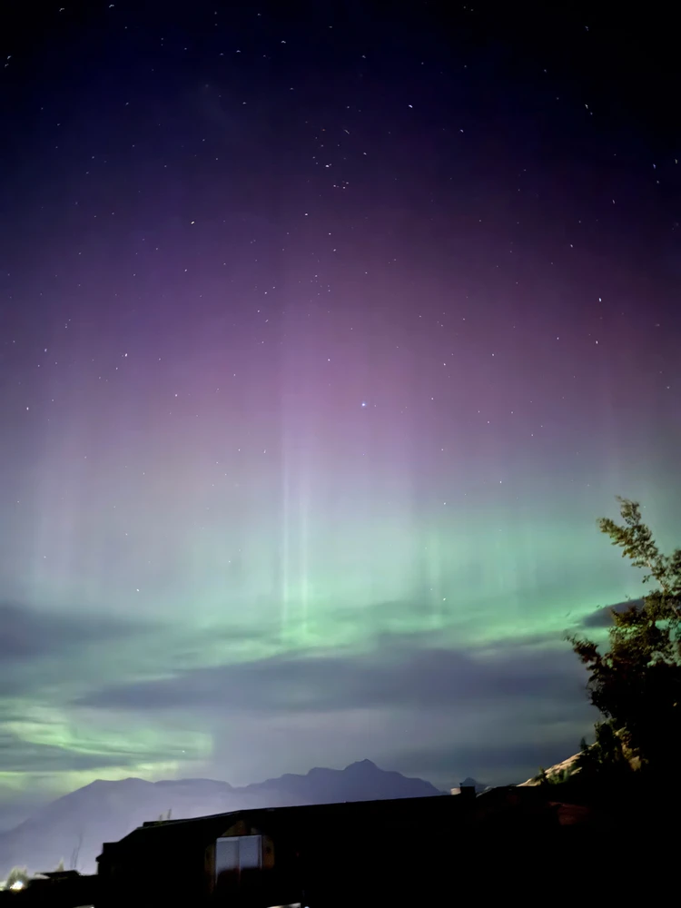 Image uploaded by Andy