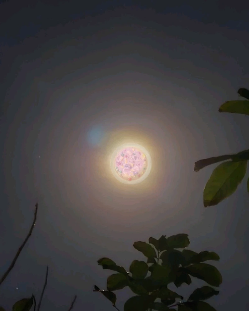 Normz上传的GIF