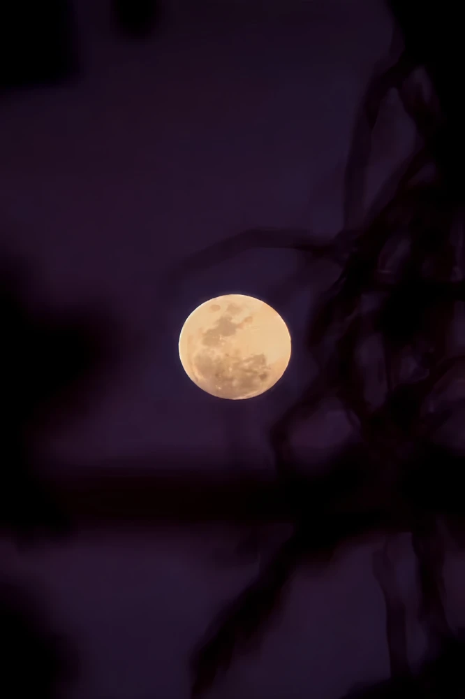 GIF uploaded by Ironheart