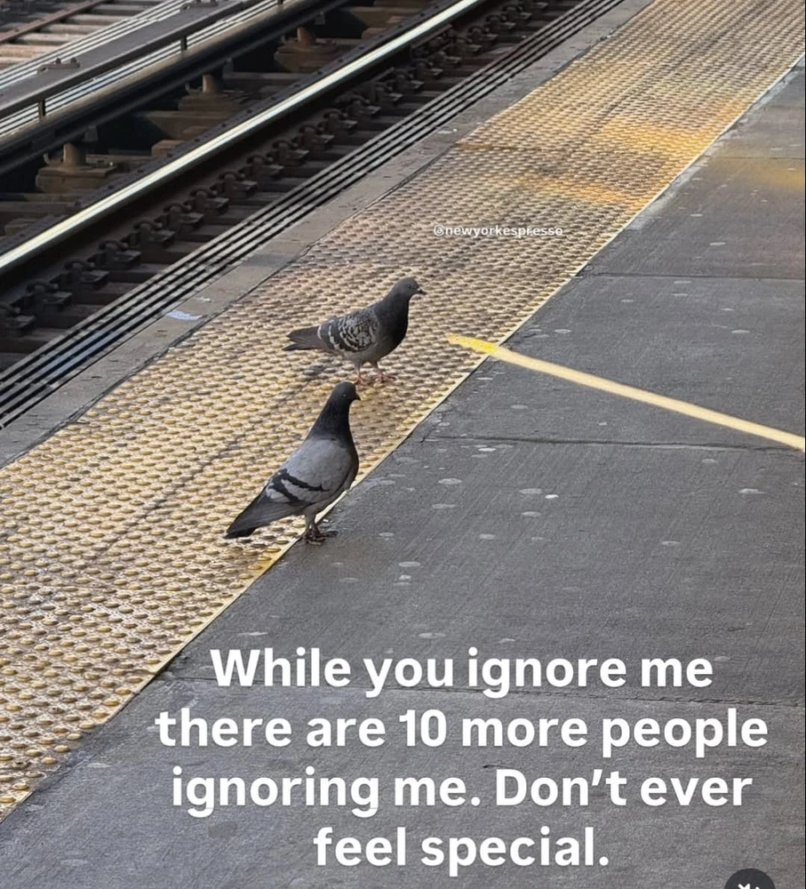 Image uploaded by Francino