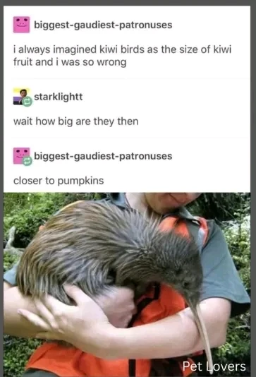 GIF uploaded by Debora