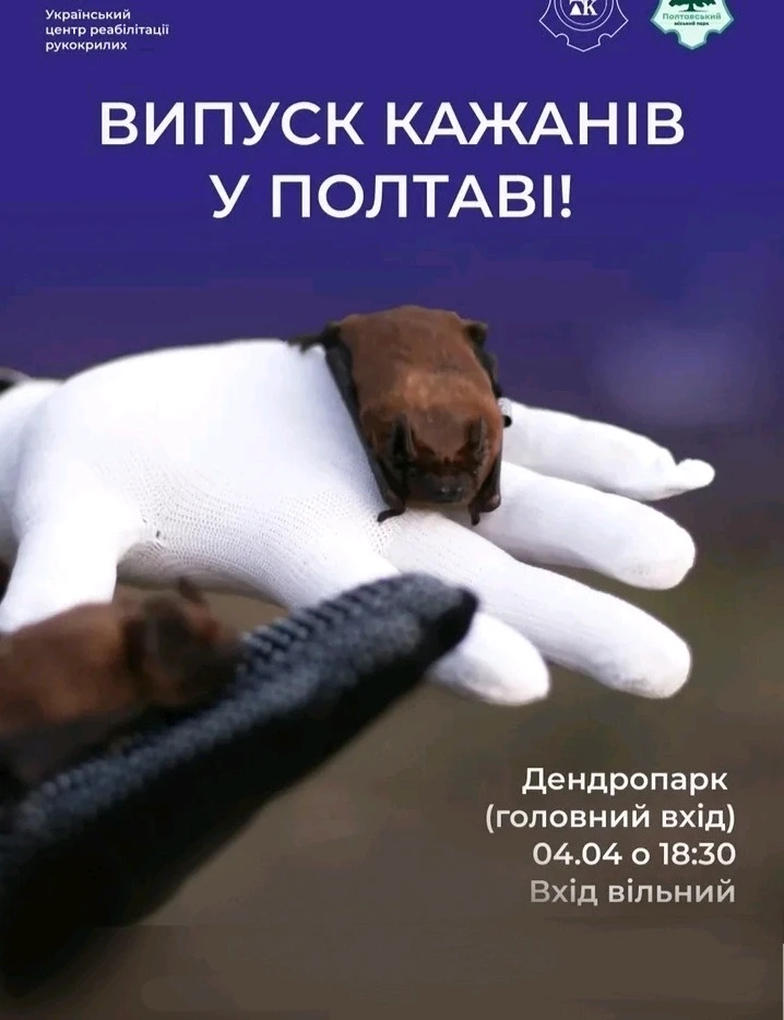 Зображення завантажив Natalia🦇