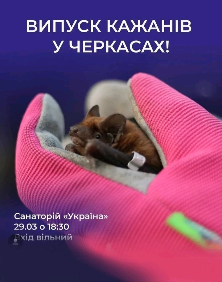 Зображення завантажив Natalia🦇