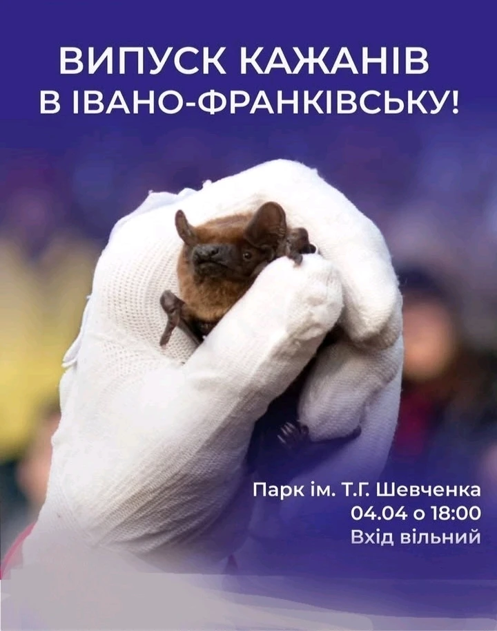 Зображення завантажив Natalia🦇