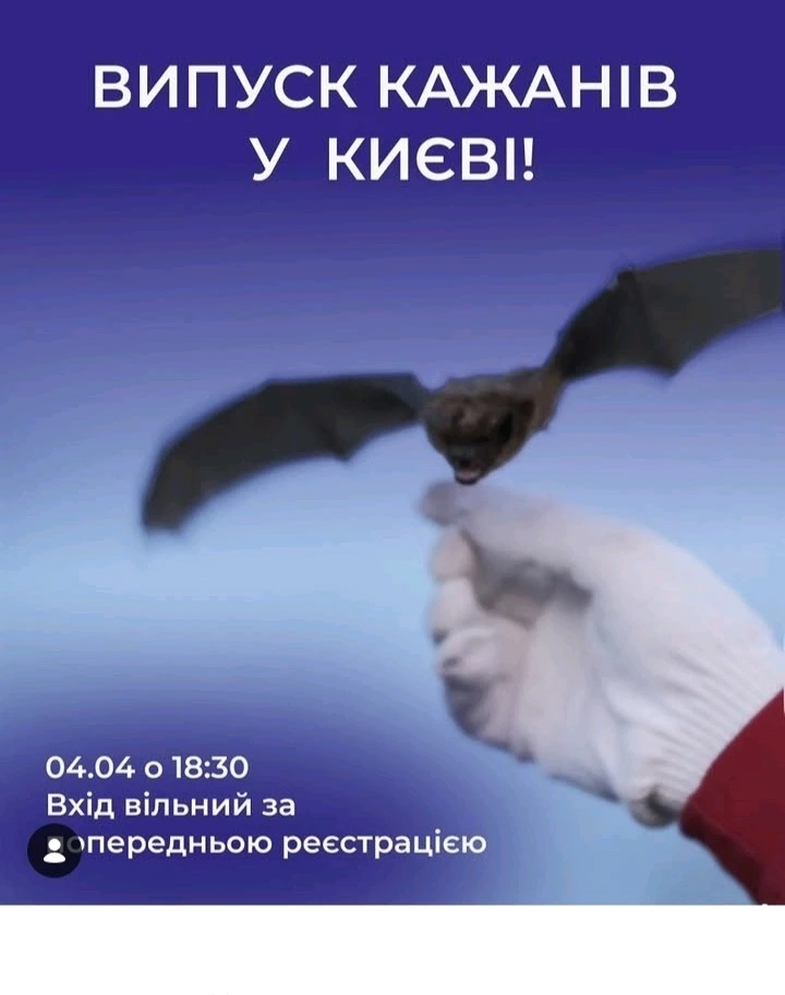 Зображення завантажив Natalia🦇