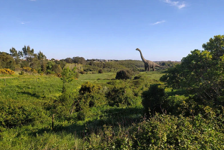 Image uploaded by Miguel