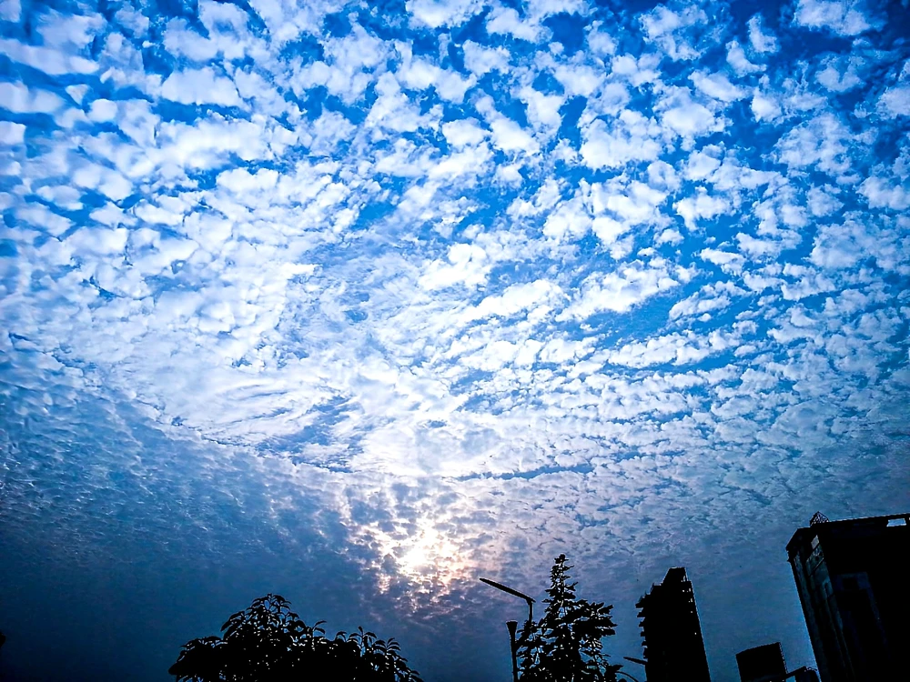 GIF uploaded by Moufique Khan