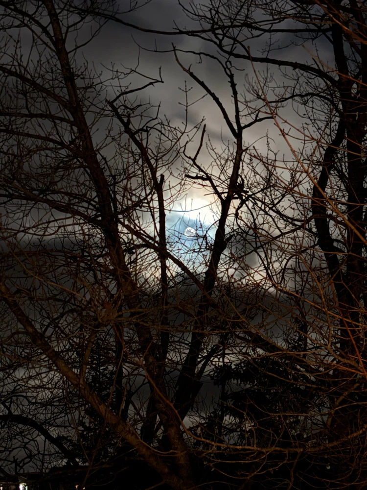 GIF uploaded by Rabi